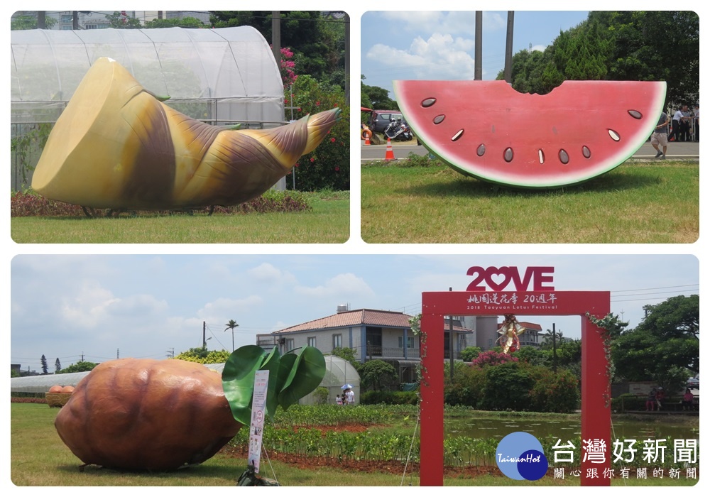 郭承泉表示,「2018桃園蓮花季-桃李蓮華」於6月30日至8月12日在觀音蓮花園休閒農業區盛大登場