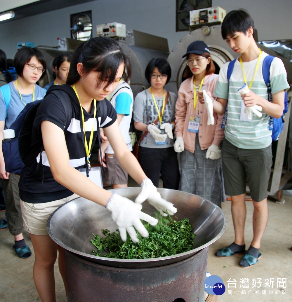 學員體驗手工炒茶