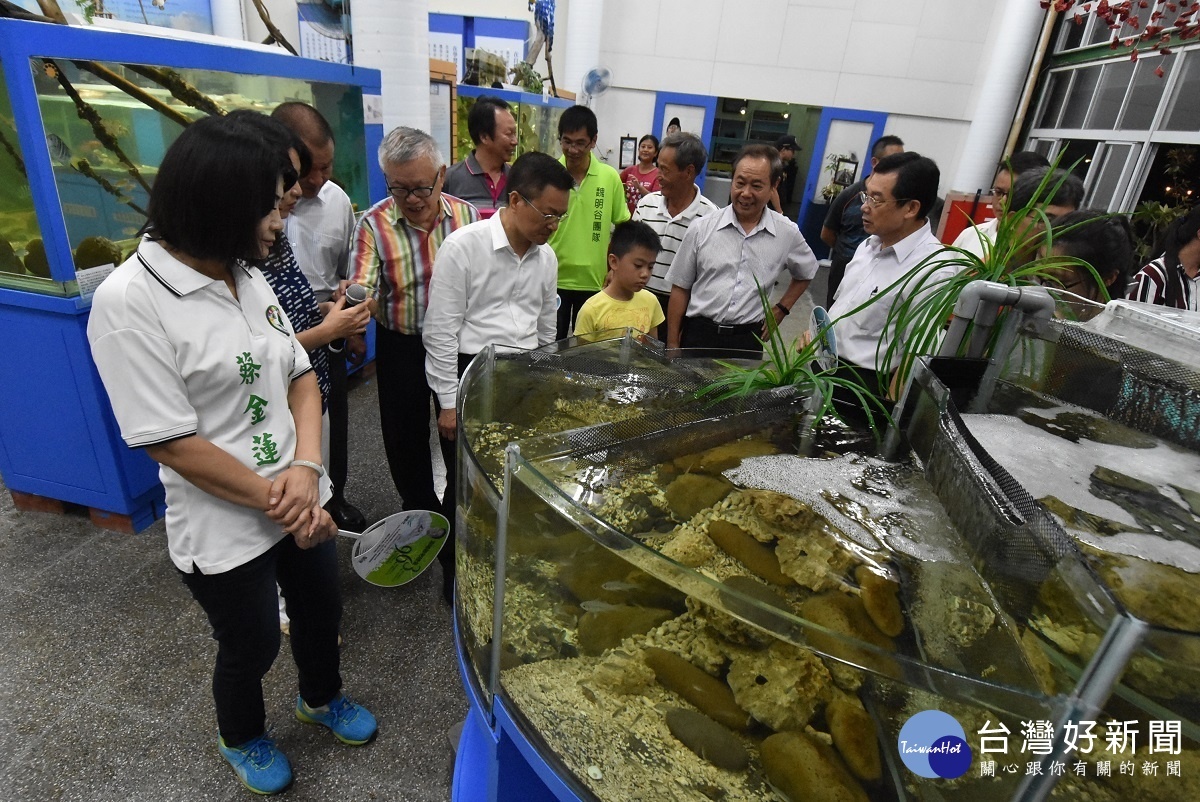 王功漁火節點燈儀式後，縣長魏明谷觀賞王功魚產。