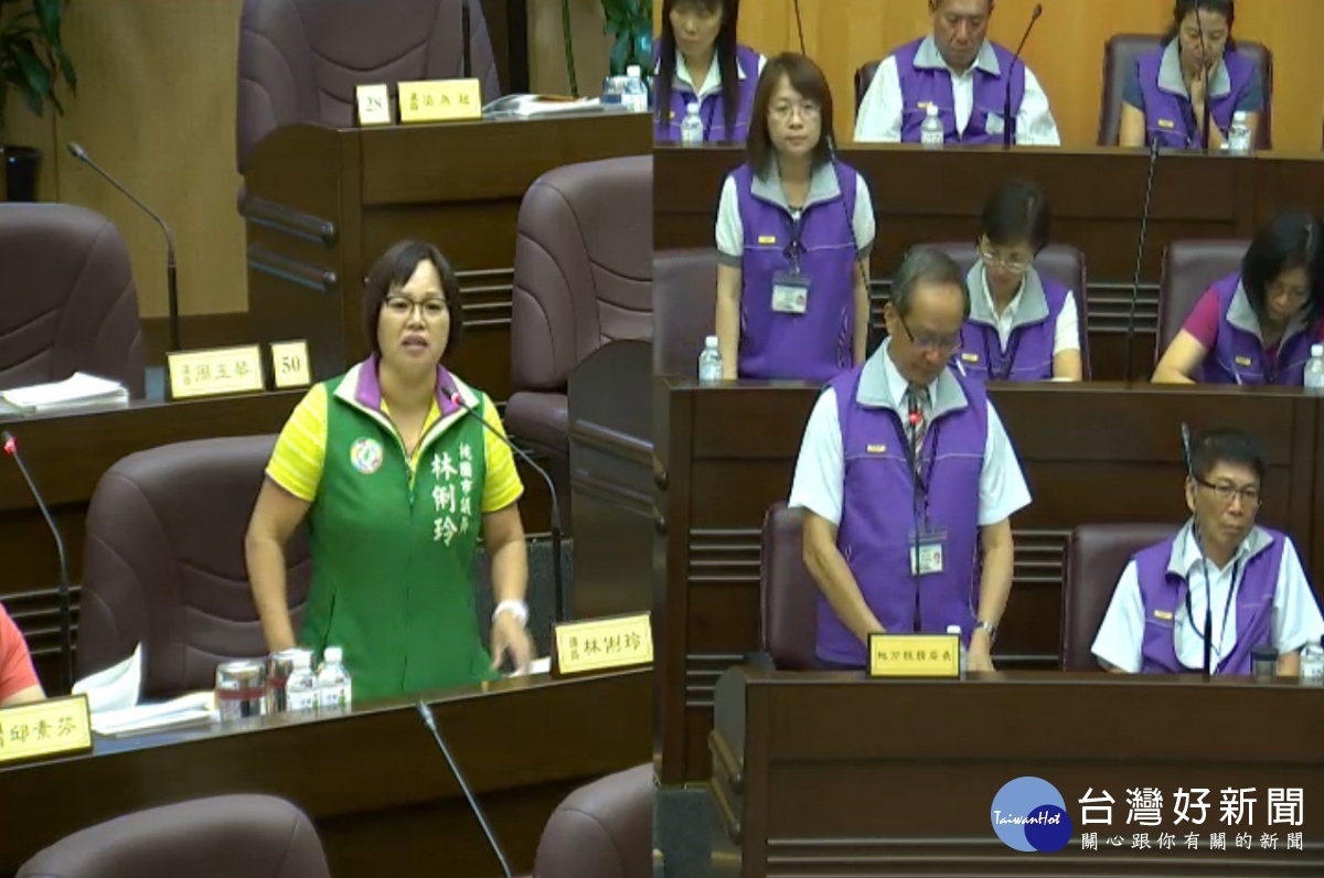 針對大坪頂地區便民工作站的稅務申報問題,桃園市議隕林俐玲質詢稅務局長林延文。