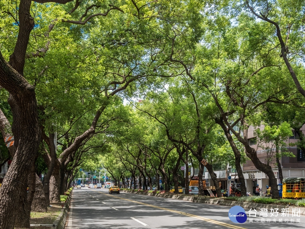 中山水美緊鄰的中山北路具有百年官道楓香林蔭。