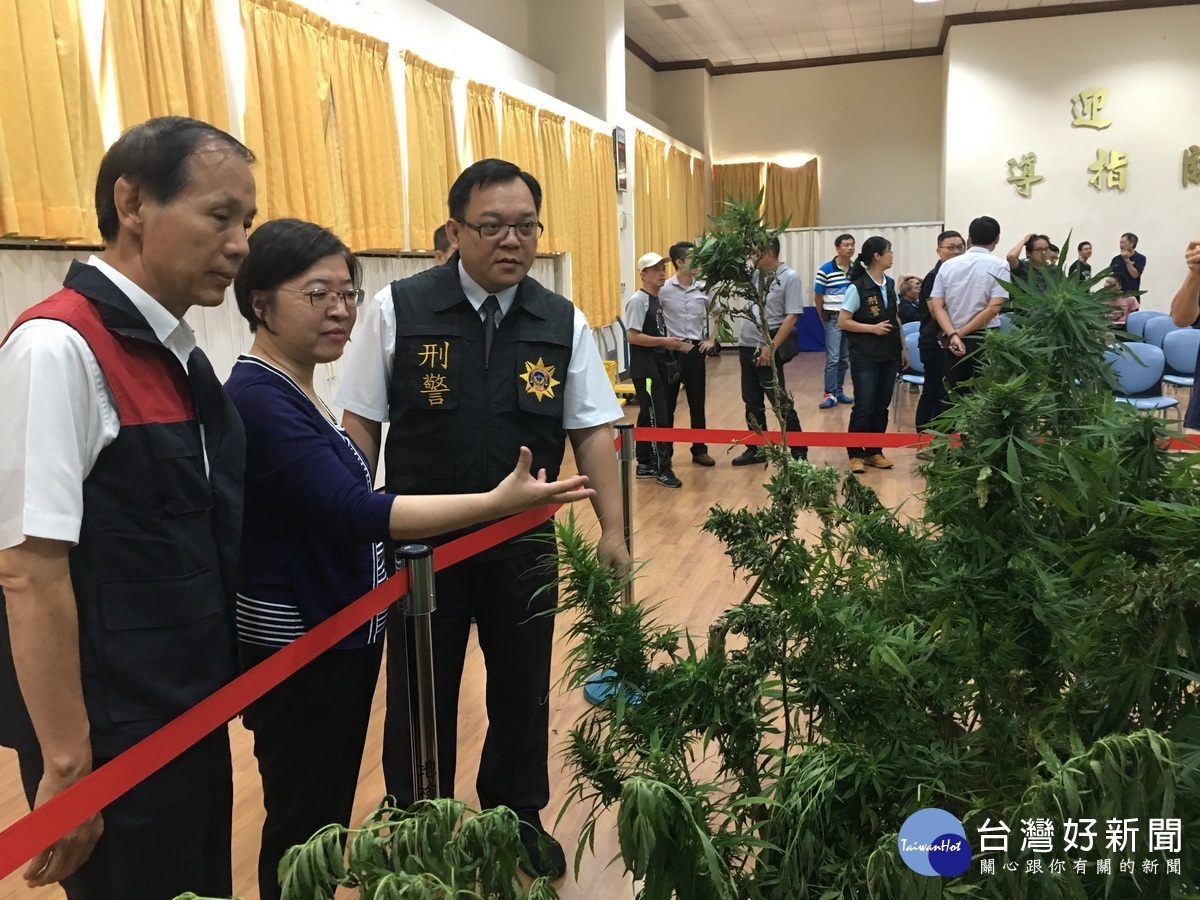 南投檢察長楊秀蘭(中)對大麻為害關切。(記者扶小萍攝)