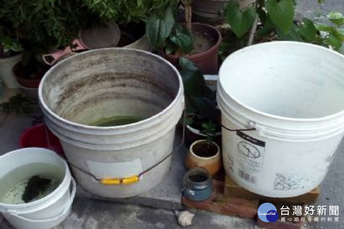 空桶等容器的積水要清空。