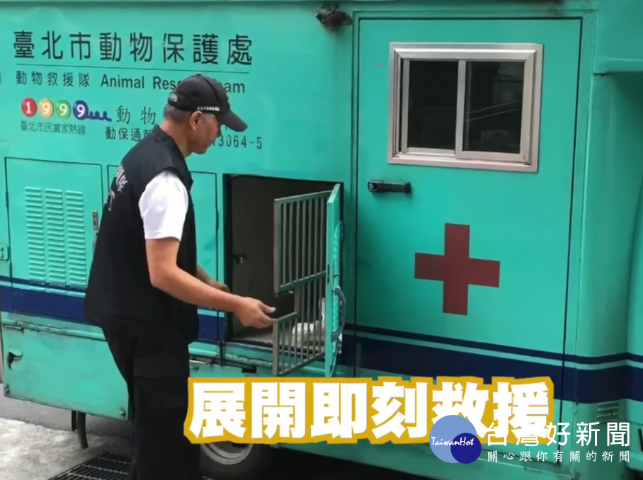 目前3隻小貓已經得到愛心志工的照顧,再大一點將會接受民眾認養。(圖/翻攝蔡英文臉書)