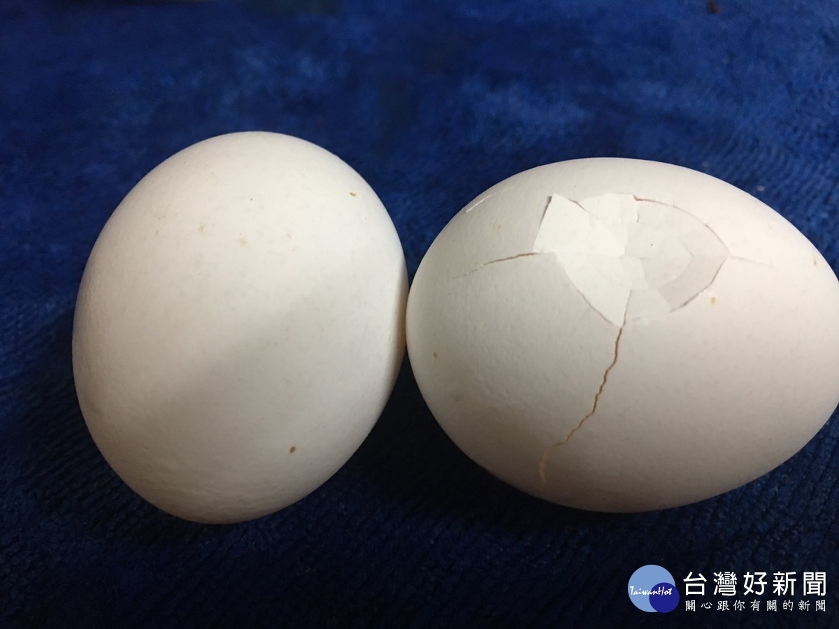 發生龜裂要注意確保安全無虞。(記者扶小萍攝)