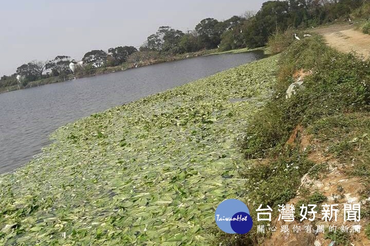 首圖
