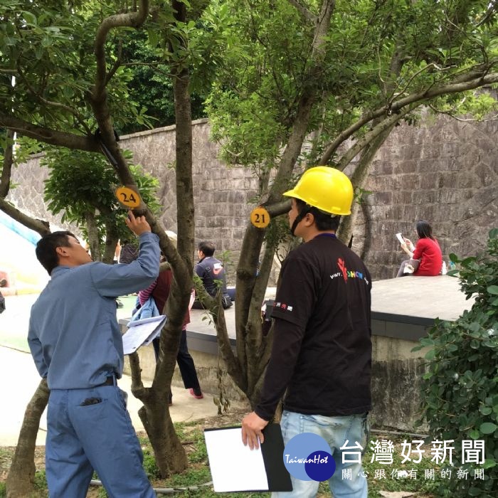 為了提升景觀及樹木修剪技術,桃園市府特別規劃這項樹木修剪考試認證活動。