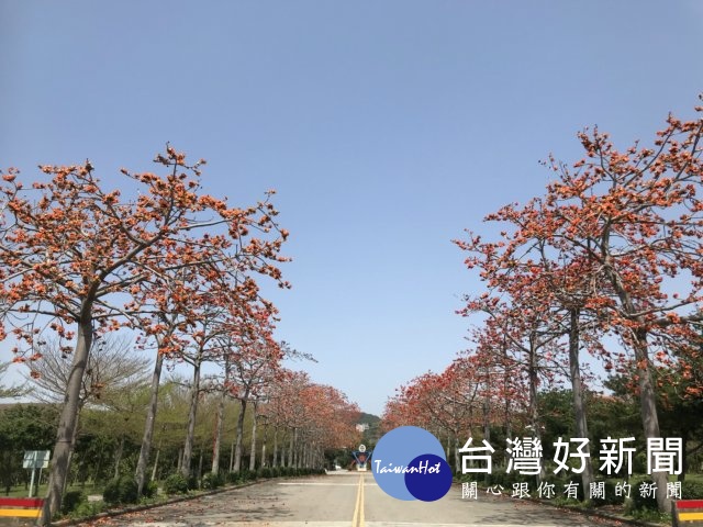 首圖
