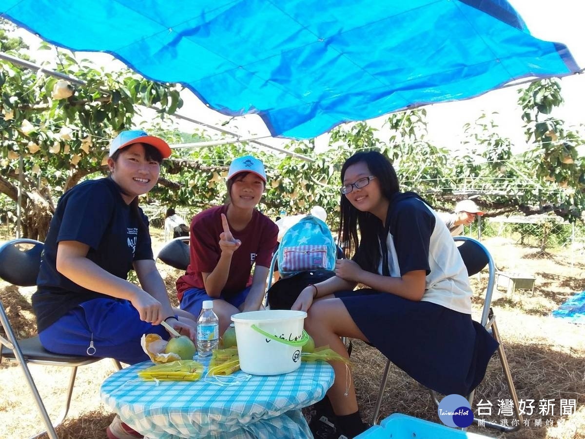 水梨園下,異國學生們的友誼。
