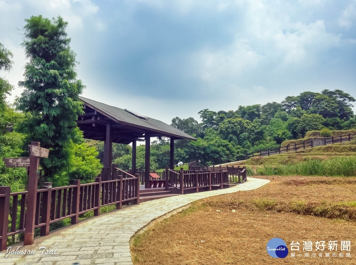 樟樹步道（圖／北市大地處提供）