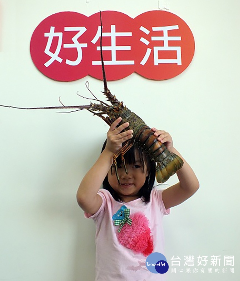 ▲ 600g鮮凍古巴龍蝦2隻,市價超過3000元市價,一樣可用點數免費換得。(圖/Deila商城提供)
