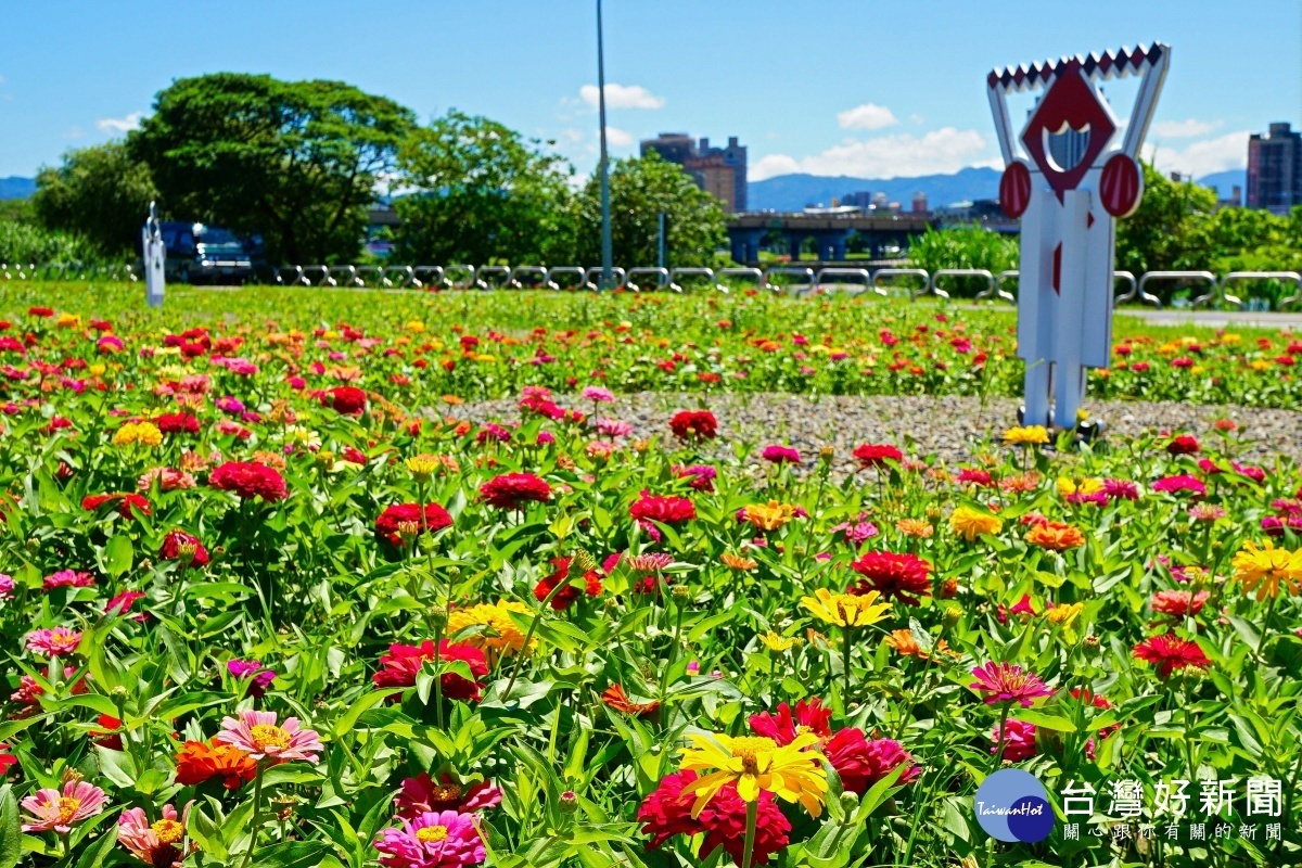 北市中正河濱萬花盛放（圖／台北市水利處提供）