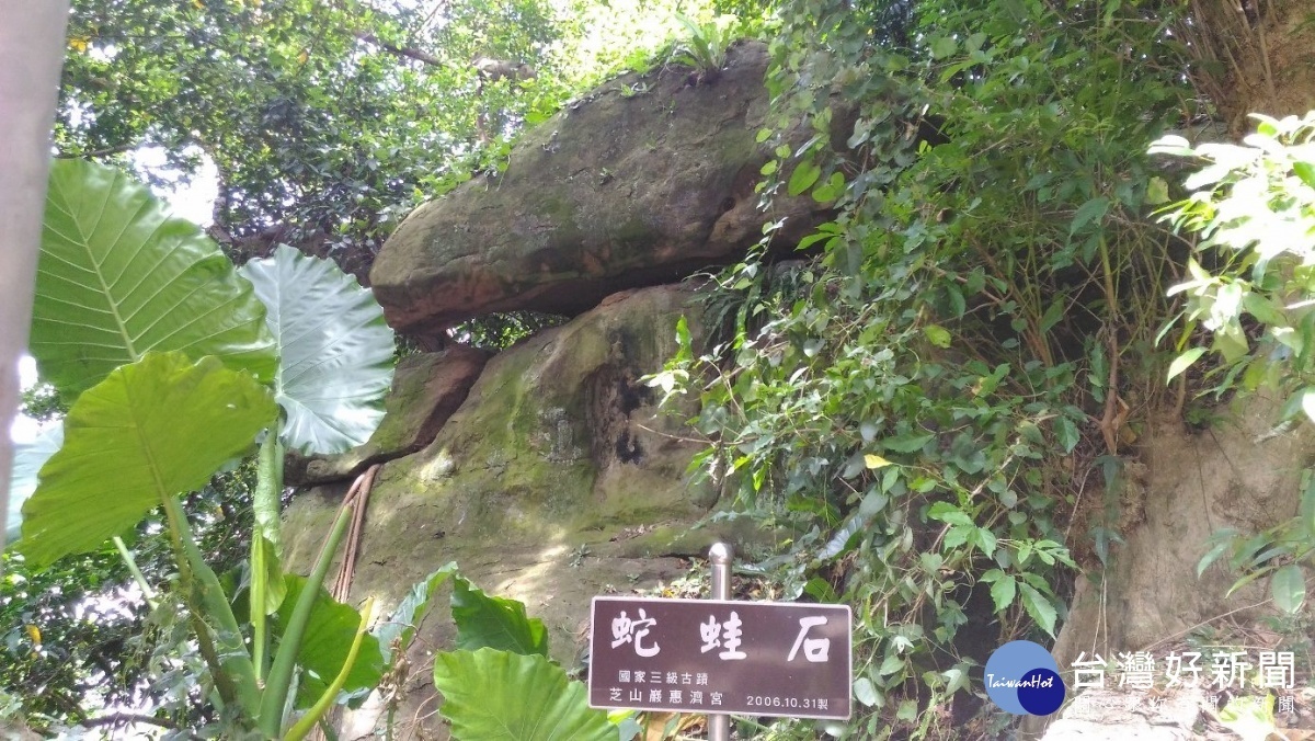 蛇蛙石（圖／台北市公園處提供）