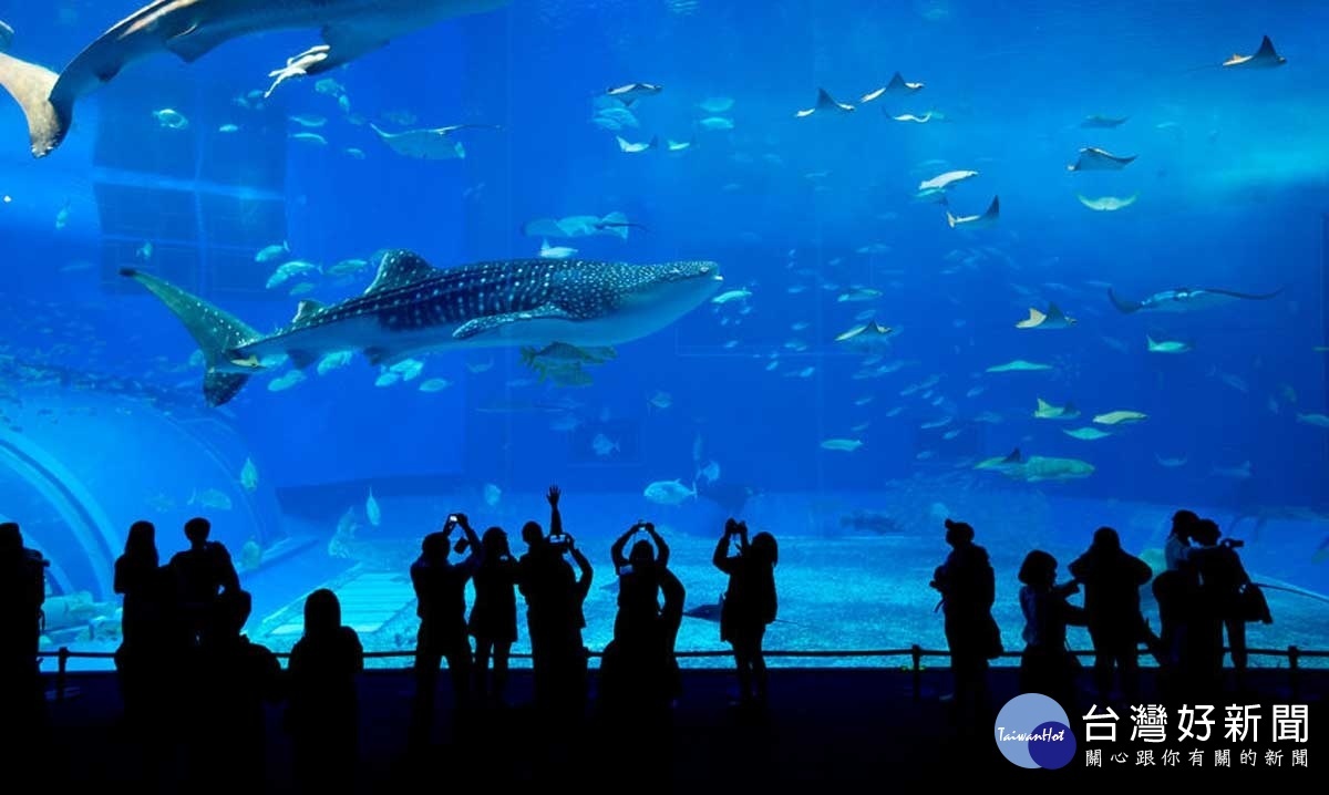 美ら海水族館，號稱全亞洲最大、全世界排名第二的水族館。（圖／喜鴻假期提供）