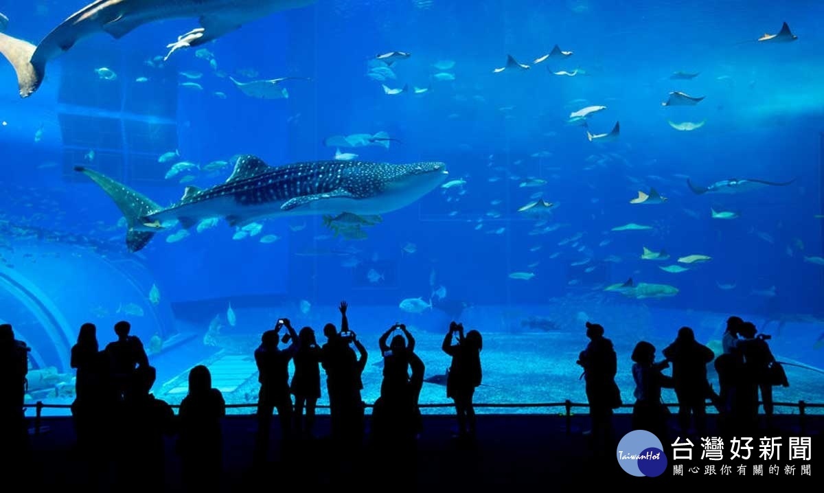美ら海水族館,號稱全亞洲最大、全世界排名第二的水族館。(圖/喜鴻假期提供)