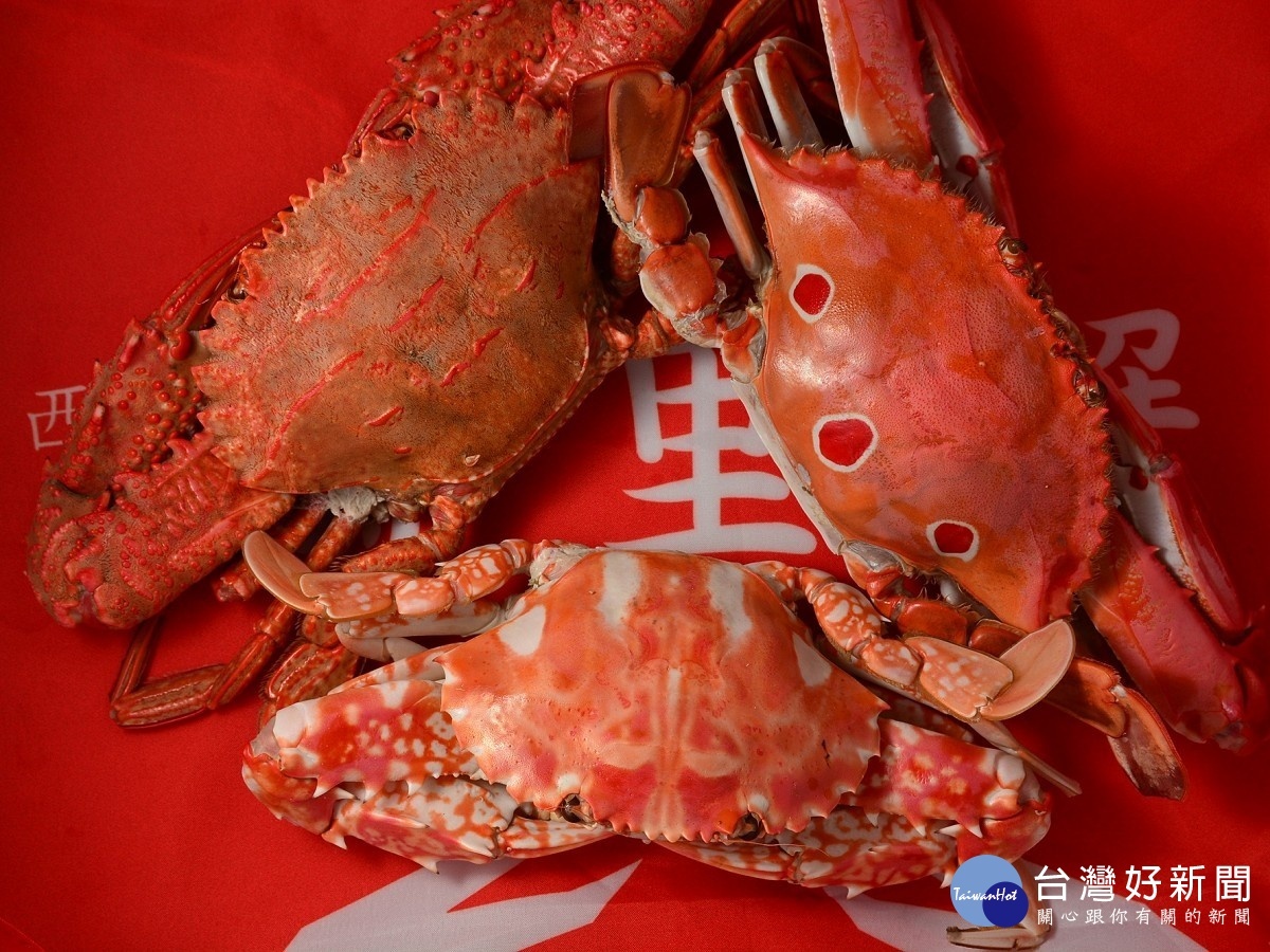 首圖