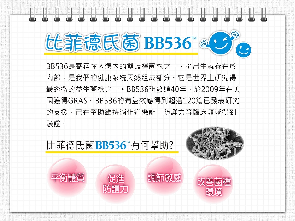 BB536比菲德氏菌可以調整腸道菌叢生態、改善排便、提升免疫力、降低過敏反應