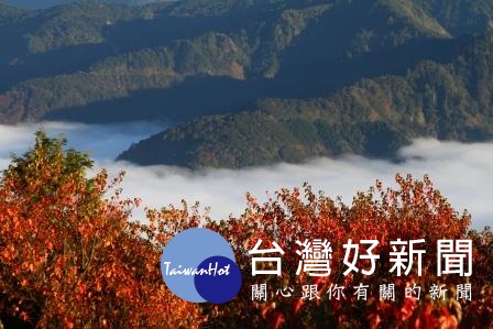 首圖