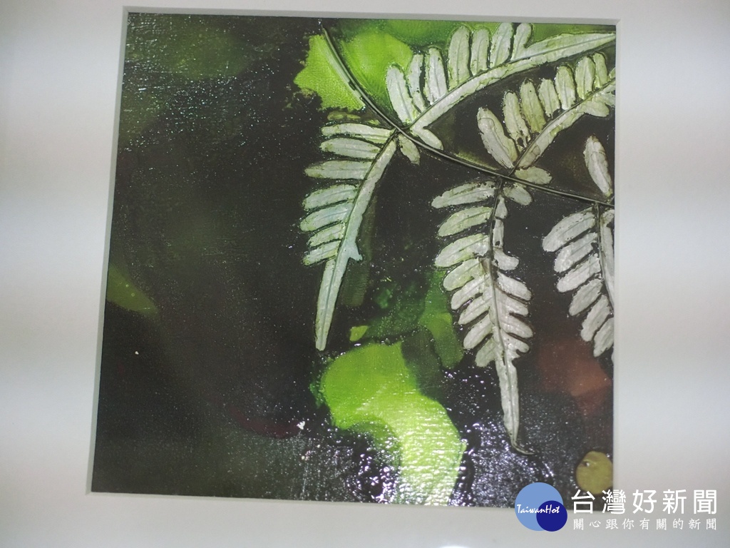 以鋁箔包覆轉印蕨的型態,或單片或組合,用另一種角度發現蕨類之美。(圖/記者賴淑禎攝)