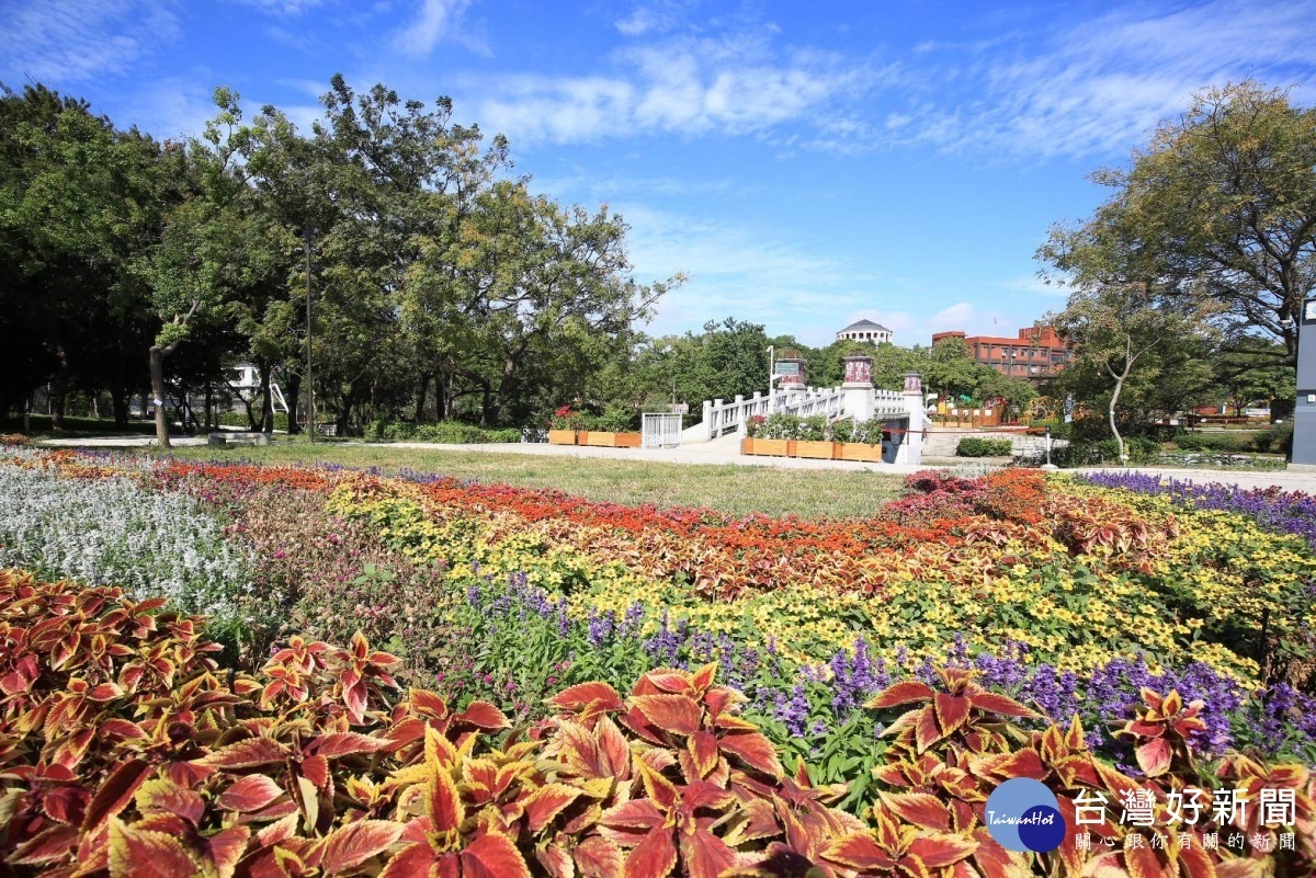 葫蘆墩公園的花花草草