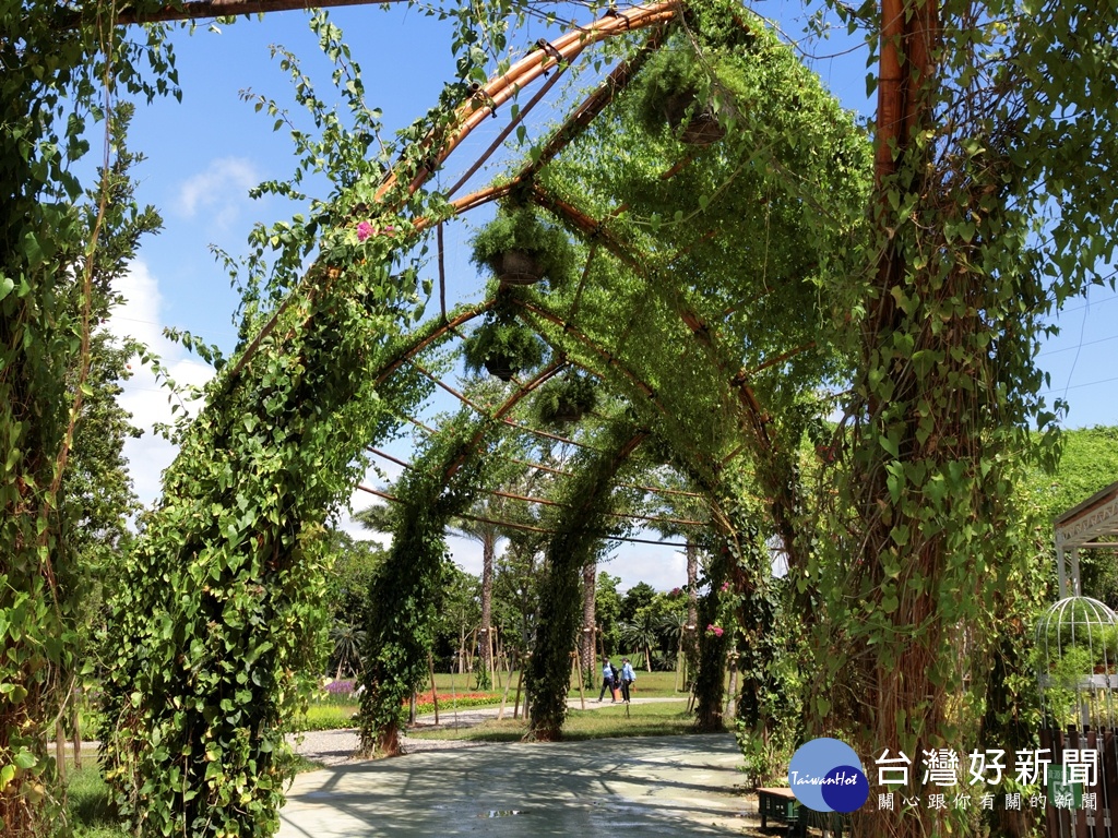 在外埔園區的攀果花廊,猶如一條綠色河流,串聯園區主要角落。(圖/記者王丰和攝)
