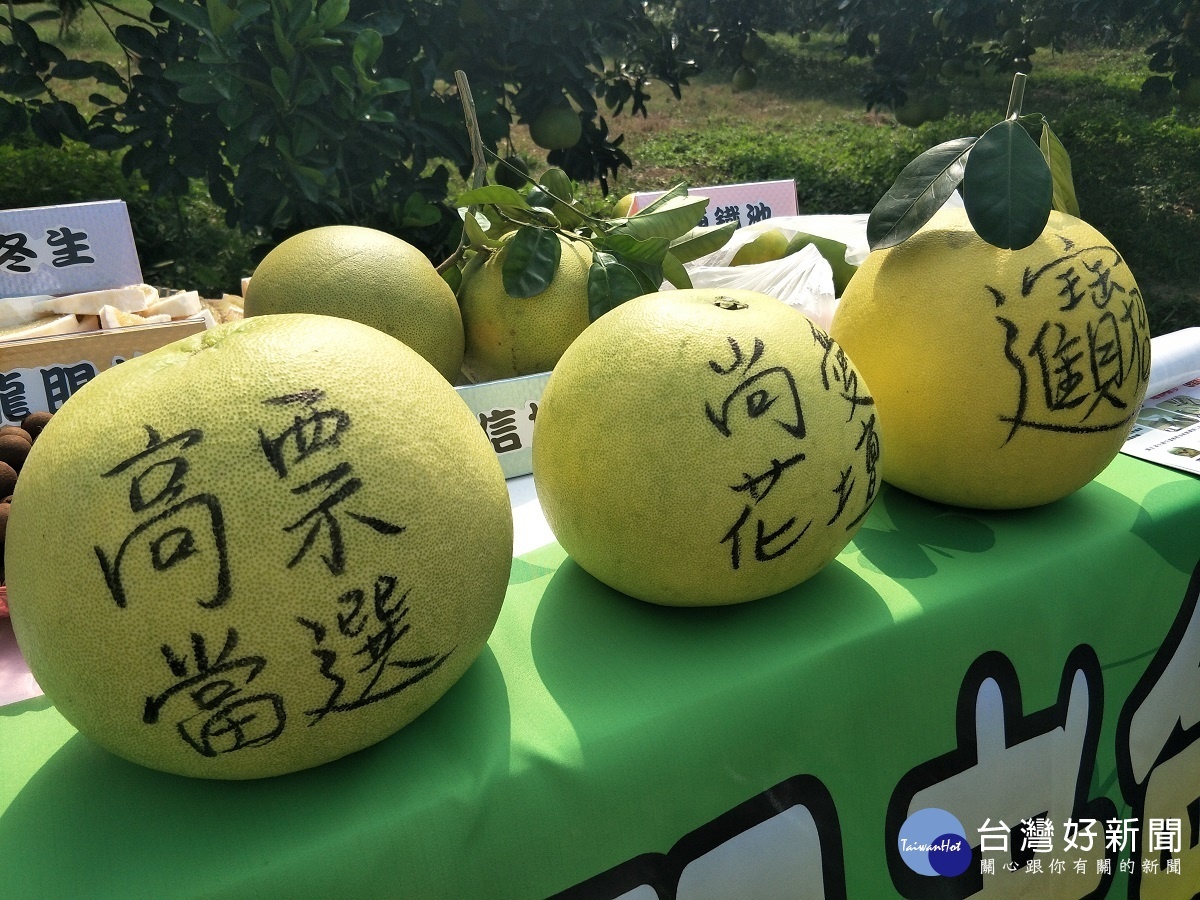 花壇鄉的西施柚行銷活動，很適合候選人平安、高票當選的水果。圖／記者鄧富珍攝