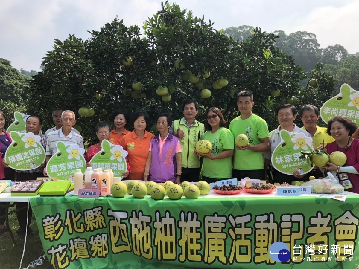 極品中的極品 花壇鄉西施柚今年大豐收要嚐鮮趁早