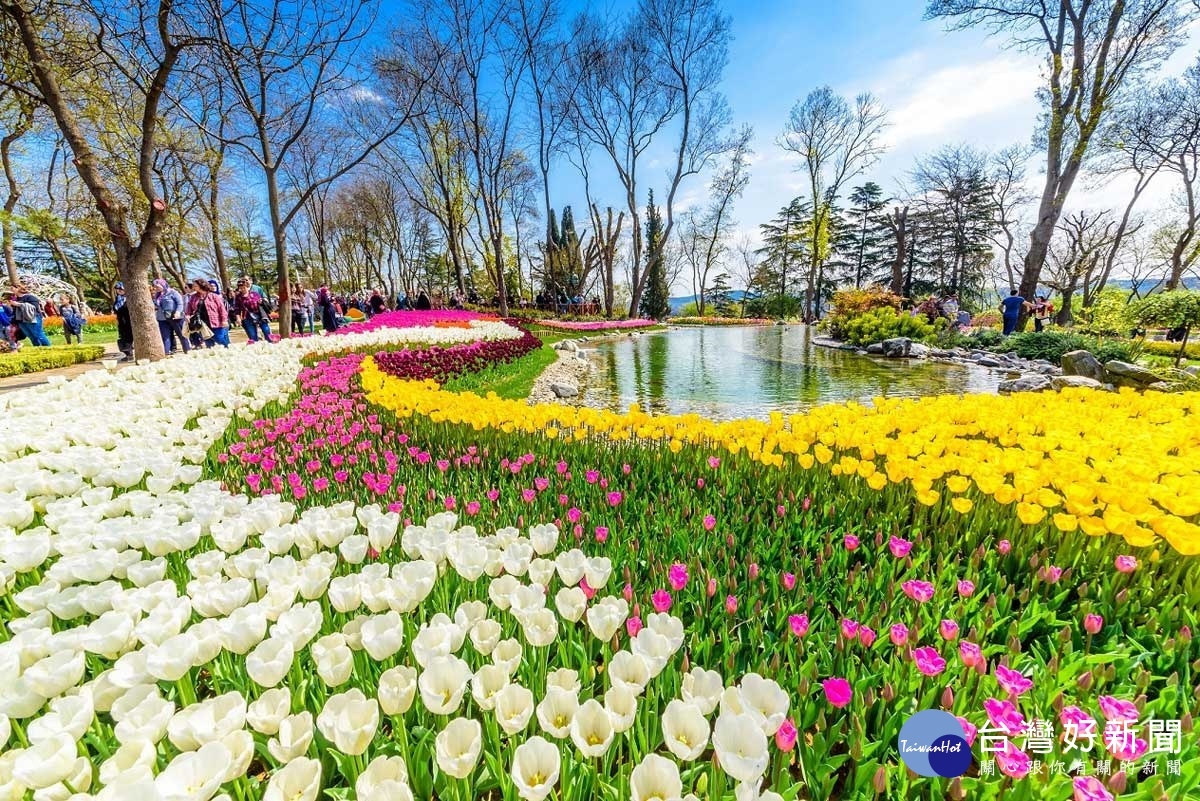 花飛、花舞、花滿天,絢麗多彩的鬱金香妝點了千年建築之美。(圖/喜鴻假期提供)