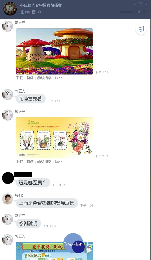 廖婉如誤傳杜拜風景照截圖