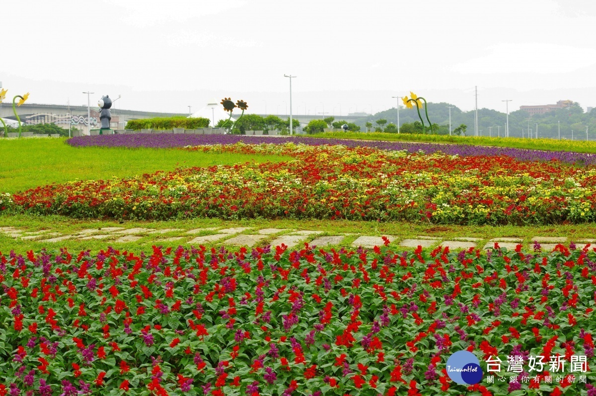 大佳河濱花海 (圖/台北市水利處提供)