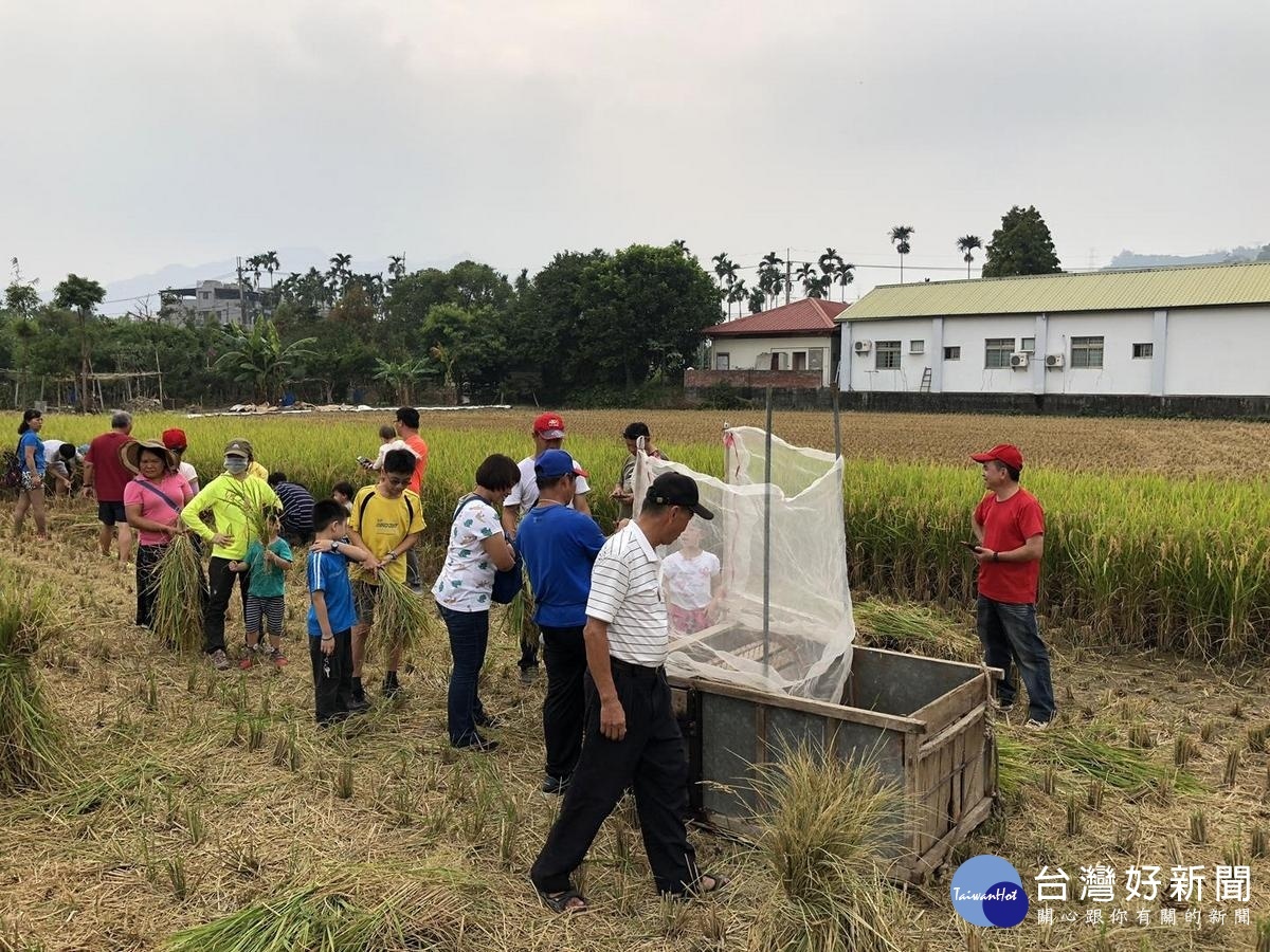 大小朋友排隊體驗使用脫穀機。〈記者吳素珍攝〉