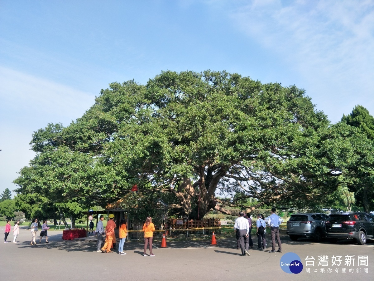 北水局及行政院農業委員會林業試驗所在十一份辦公區榕樹下一起祭拜土地公。