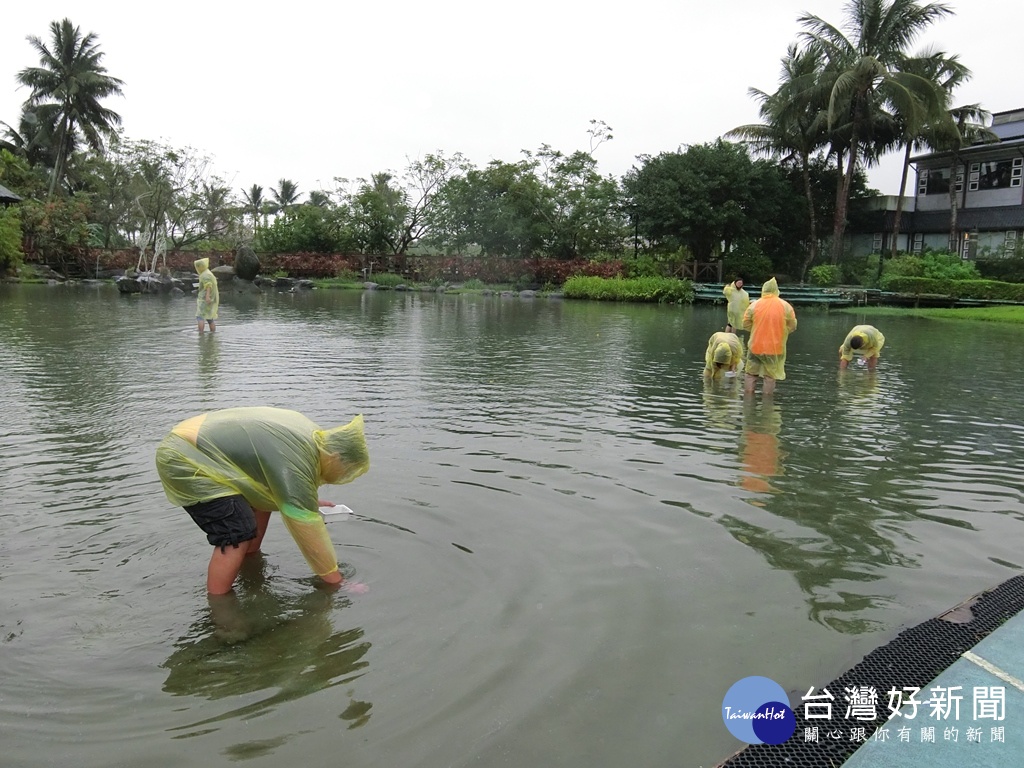 在立川漁場下水體驗摸蜆的樂趣。(圖／記者王丰和攝)