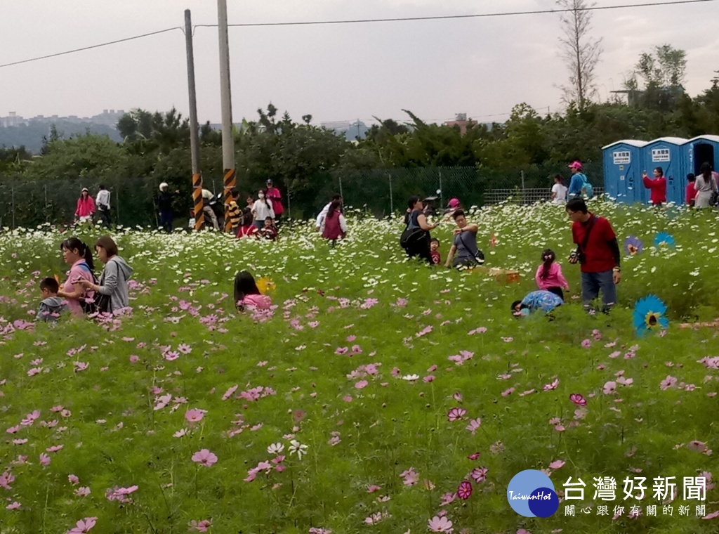 大溪花彩節，無論月眉地區或其他地區之花卉，都開得相當漂亮，值得欣賞。