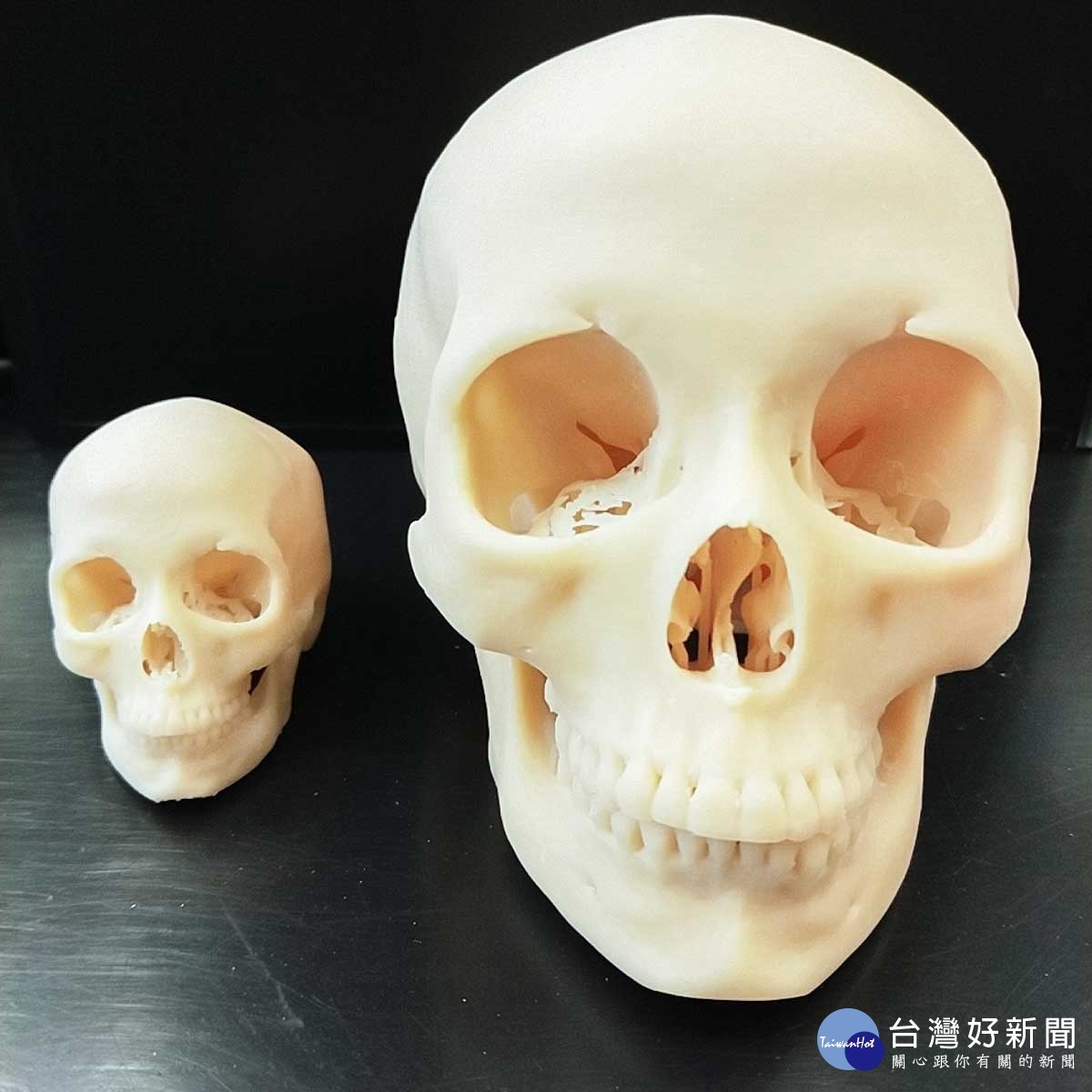 OMaker系統依照成像輸出30%（左）及66%（右）大小頭骨模型，細節依舊清楚呈現！