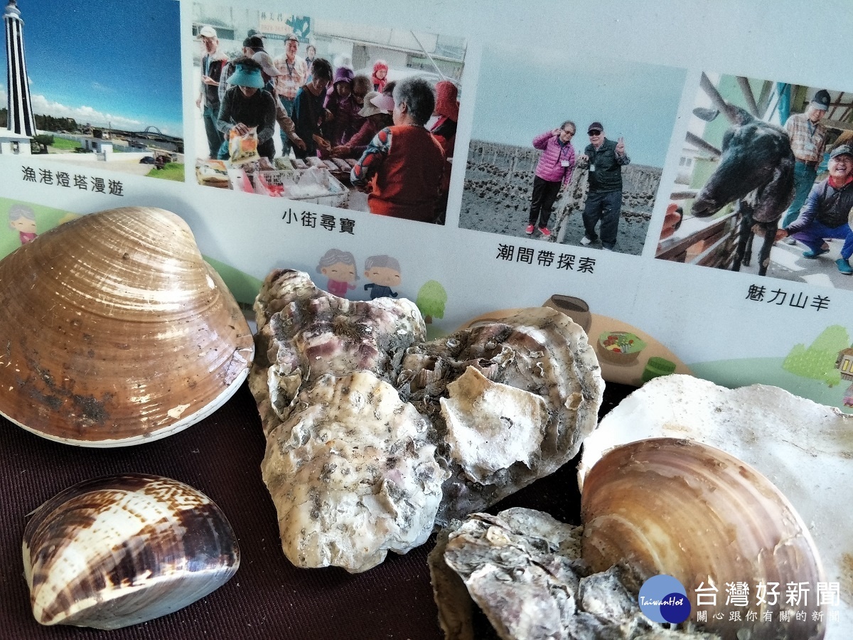 王功商圈推出深度的青龍戲水王功之旅,導覽遊客海陸雙雙玩透透。圖/記者鄧富珍攝