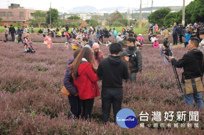 桃園花彩節已進入第三周,精彩照片已攻佔各大社群網站,使參訪人次不降反升,截至目前已衝破100萬!
