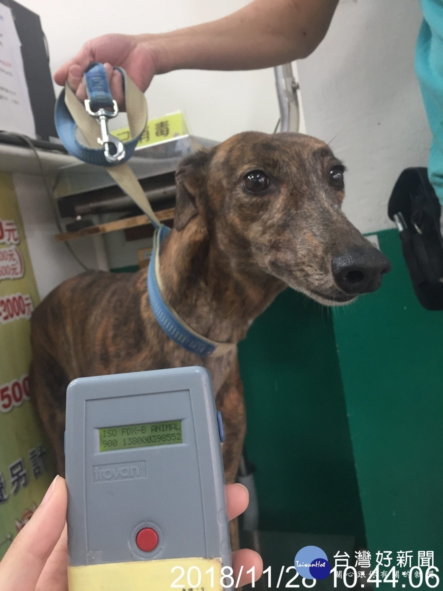 動物醫院飼養血犬超抽案 北市動保處祭重罰