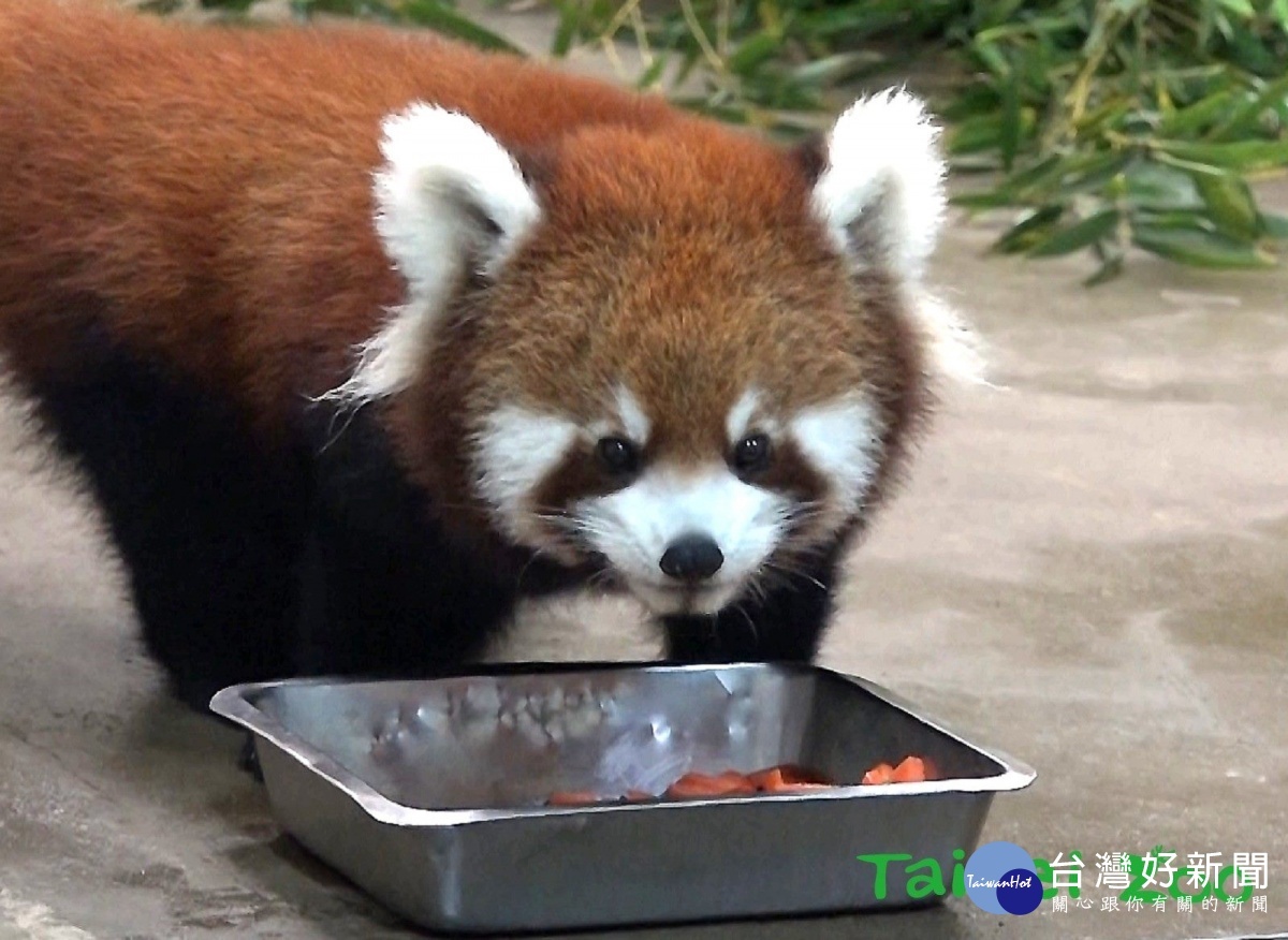 一直以來「Yammy」也不負「盛名」,每到用餐時間總是吃得津津有味
