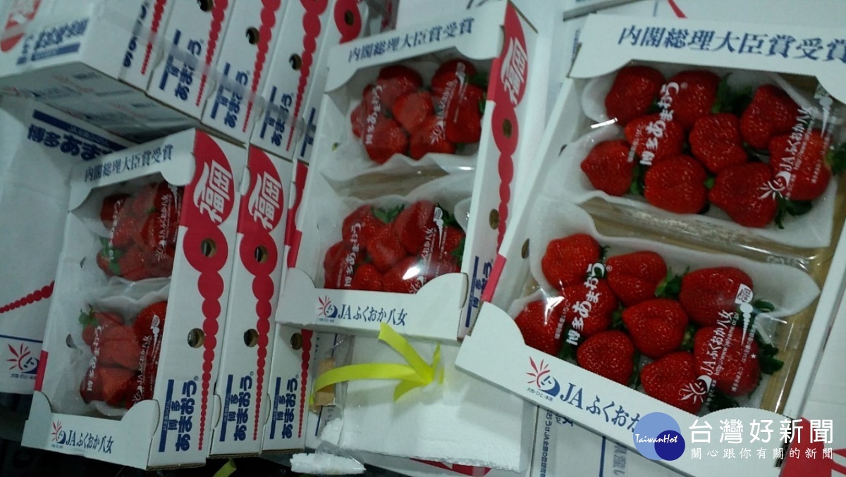 頂好超市進口自日本的鮮草莓，被驗出農藥氟尼胺殘留超標，因此54公斤貨品被食藥署退運或銷毀，未流入至市面上。（圖／衛福部食藥署）
