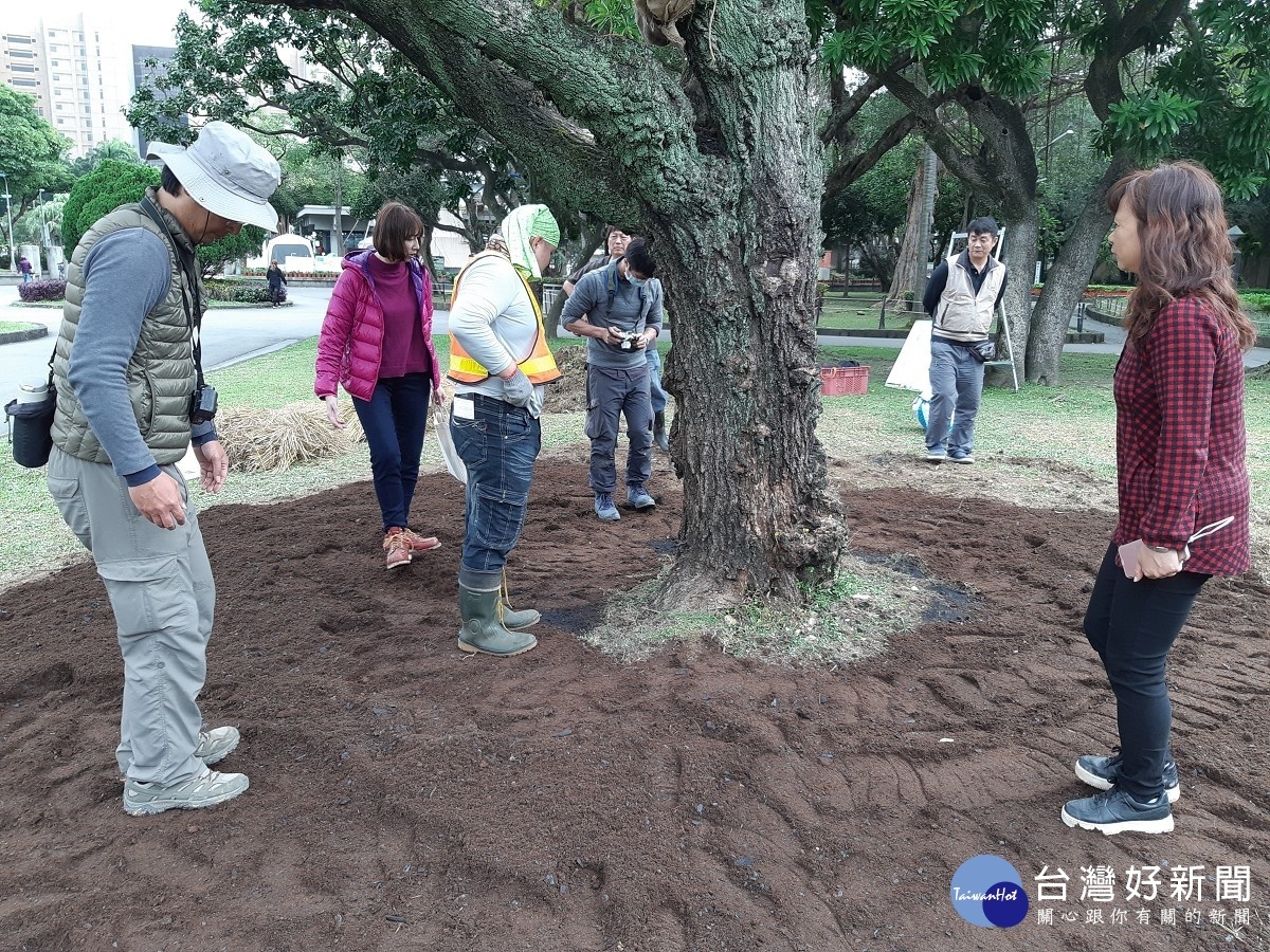 輕輕踩實新覆的營養土，增加根系與土壤的接觸面積