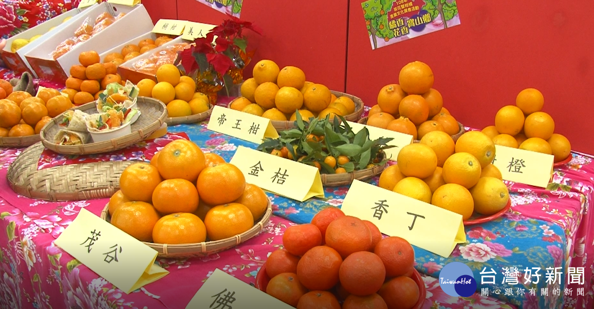 橘香花香寶山鄉1 茶花柑橘展售 蕃新聞