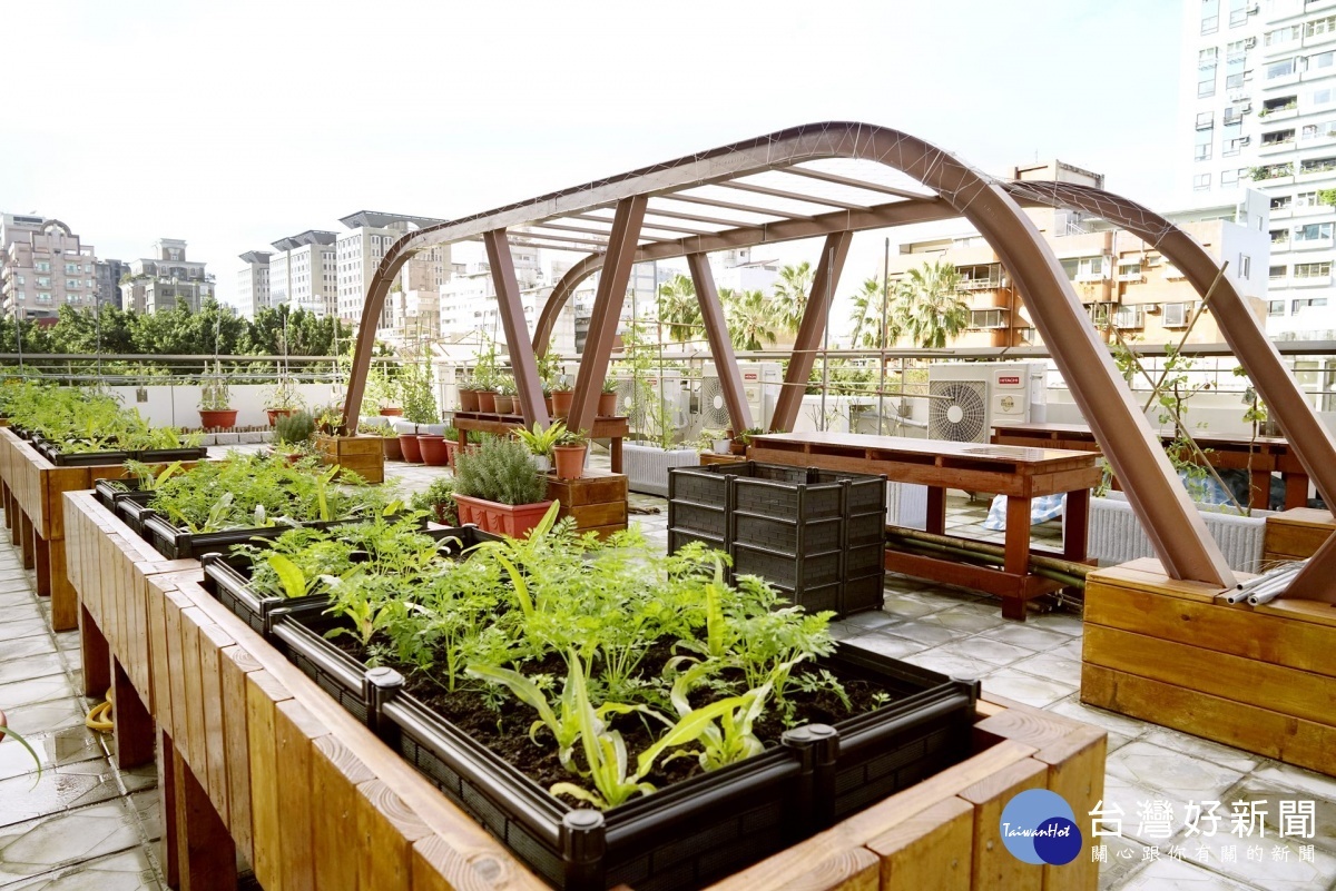 長者的蓊綠秘密基地 北市復華長青中心屋頂打造開心農場