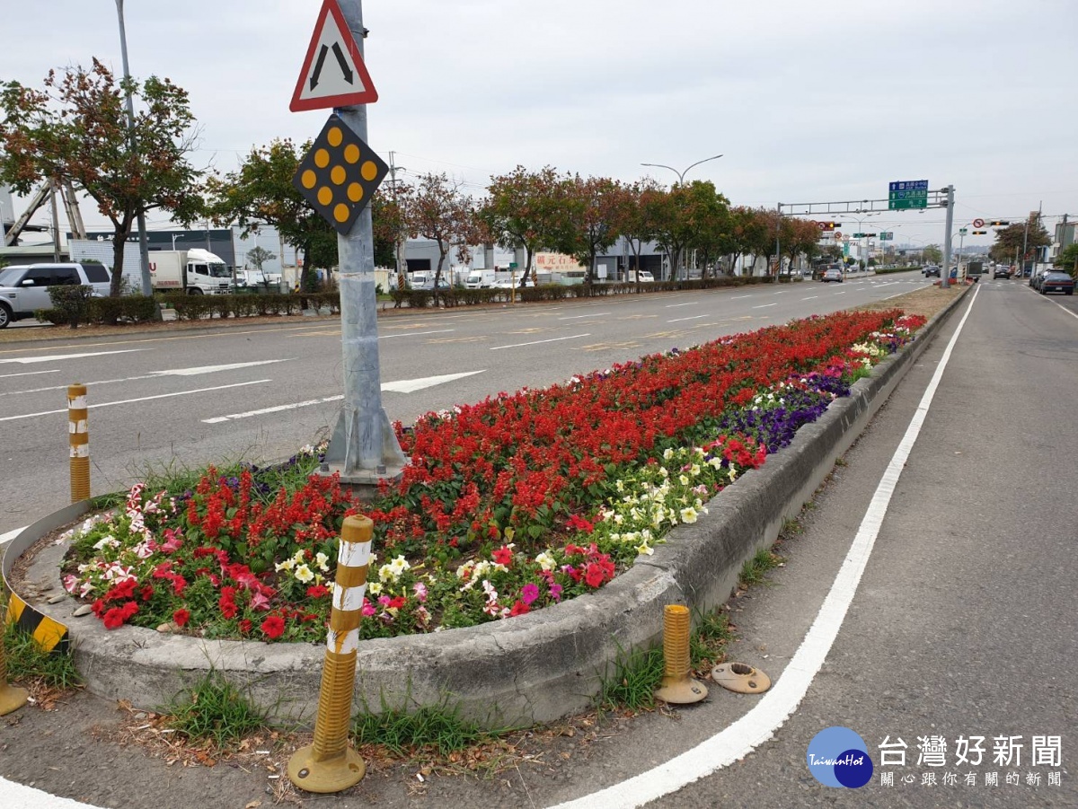 增添年節喜氣台中重要道路中央分隔島種植小花海 台灣好新聞taiwanhot Net 增添年節喜氣台中重要道路中央分隔島種植小花海 台灣好新聞taiwanhot Net
