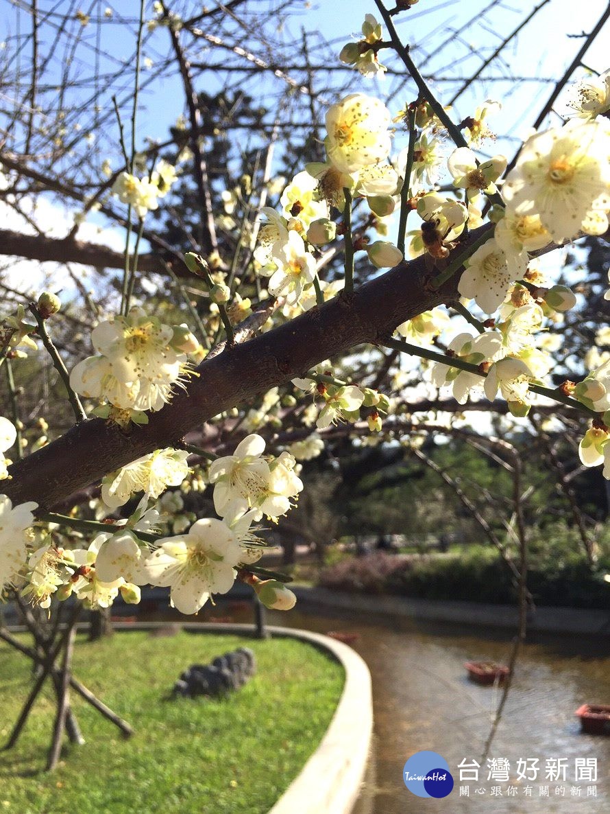 榮星花園與民生公園擁有優質的環境（圖／台北市公園處提供）