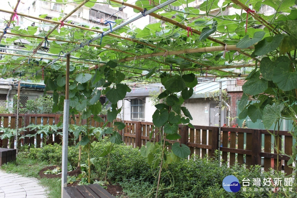 大家越種越有心得，開始發揮巧思搭建竹製棚架提供攀爬植物栽植（圖／台北市產發局提供）