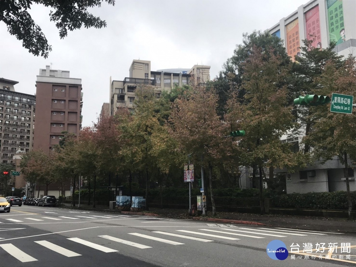 南港區重陽路楓香披著三色的冬衣(圖/台北市公園處提供)