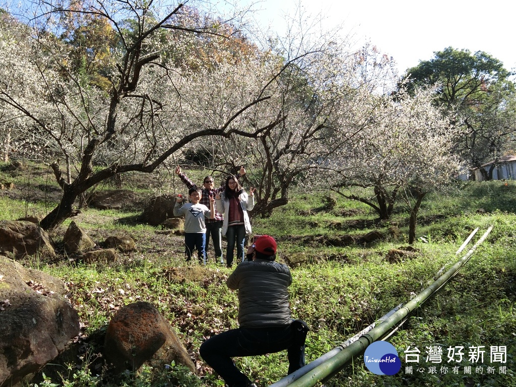 東勢林場走春　遊園賞花+闖關遊戲摸彩樂趣多 台灣好新聞 第2張