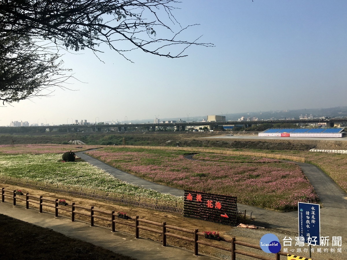 從會展中心右側堤防道路直行可抵花海區。（記者扶小萍攝）