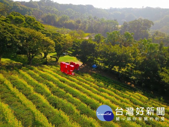 桃園市長鄭文燦特別宣布2019戀戀魯冰花季提前於2月9日至2月24日在龍潭大北坑、三水及三和社區登場!
